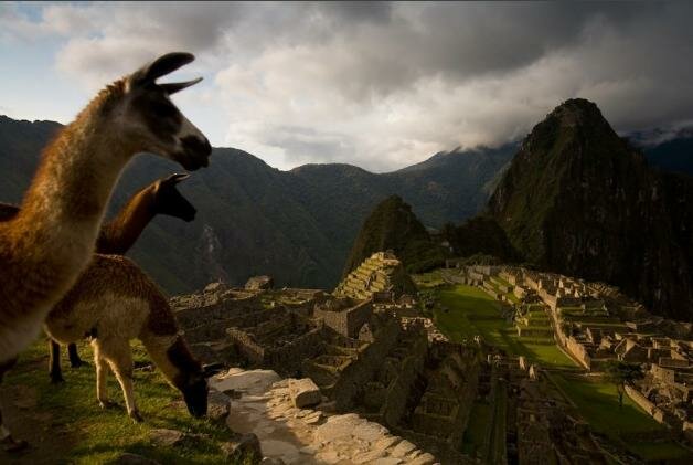 RALPHLEEHOPKINS.COM_1306876919181 fotografia naturaleza