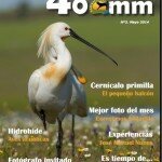 Nº2 Revista de Fotografia Gratuita 400mm